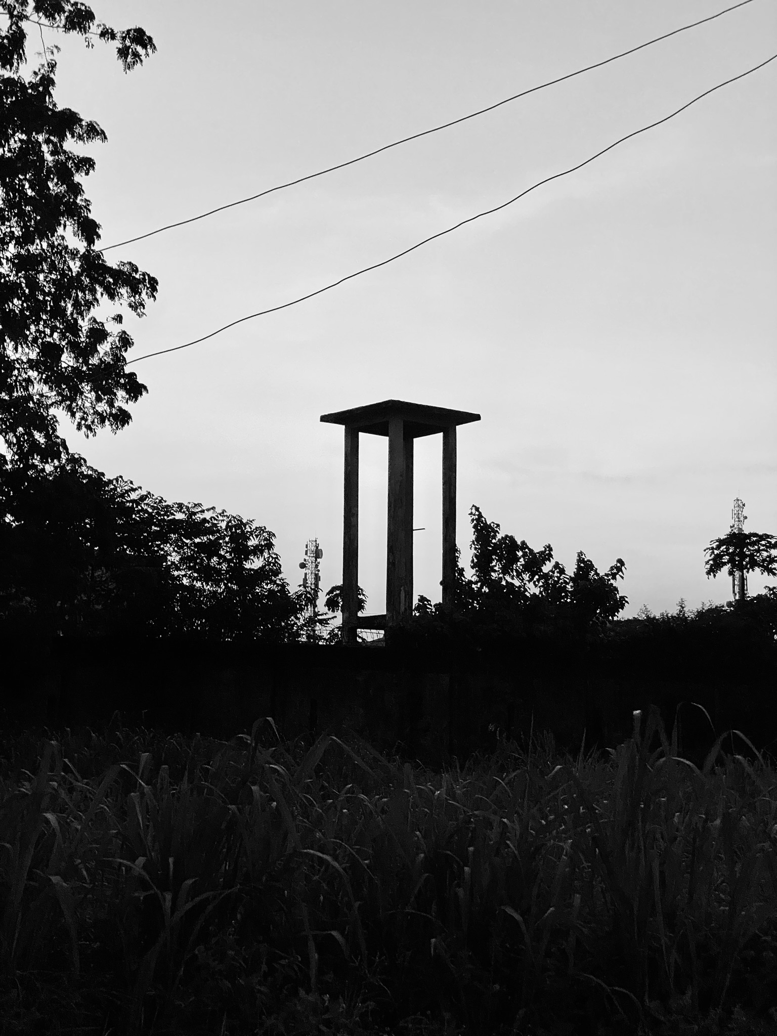 img05